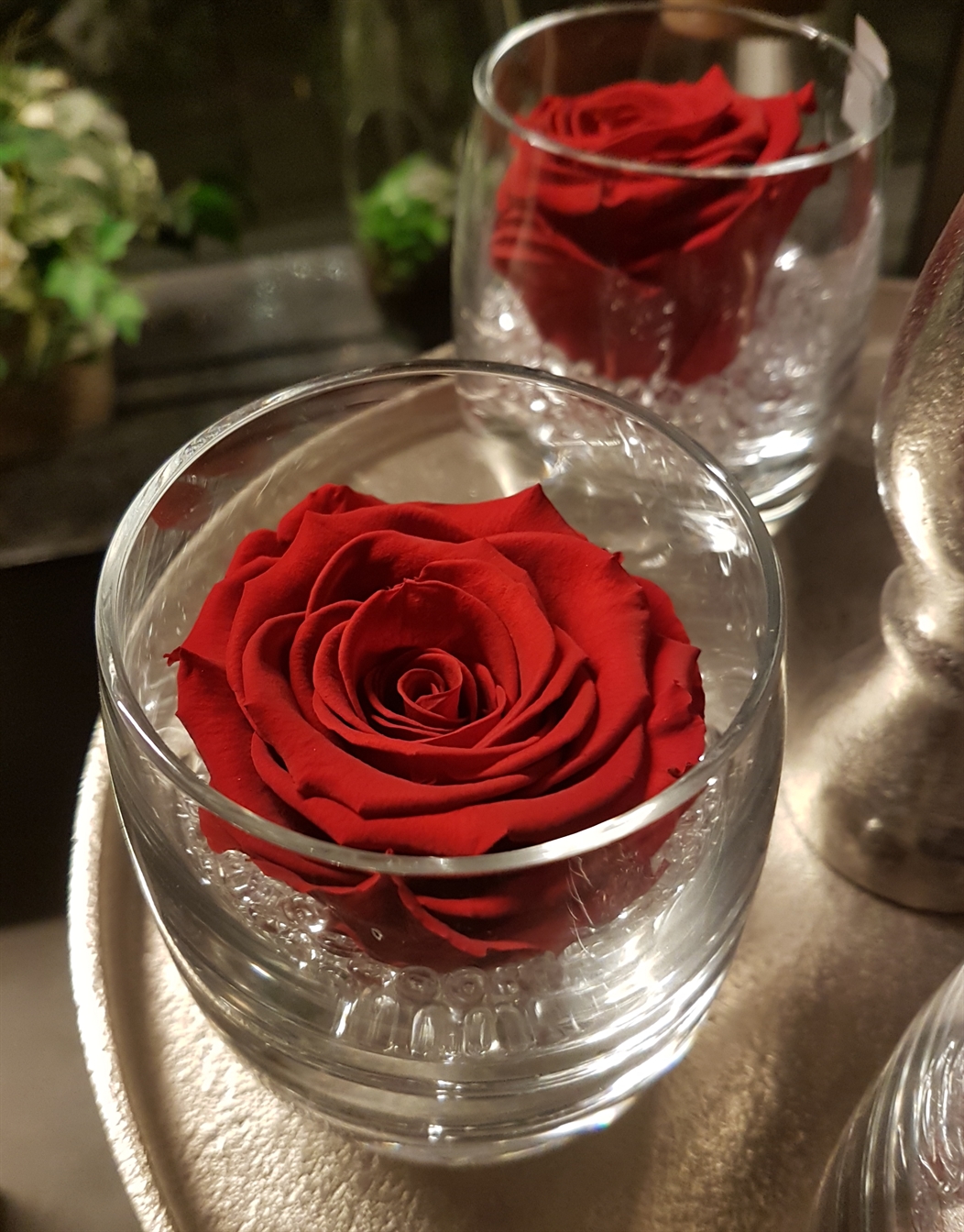 Preserved roos in glas